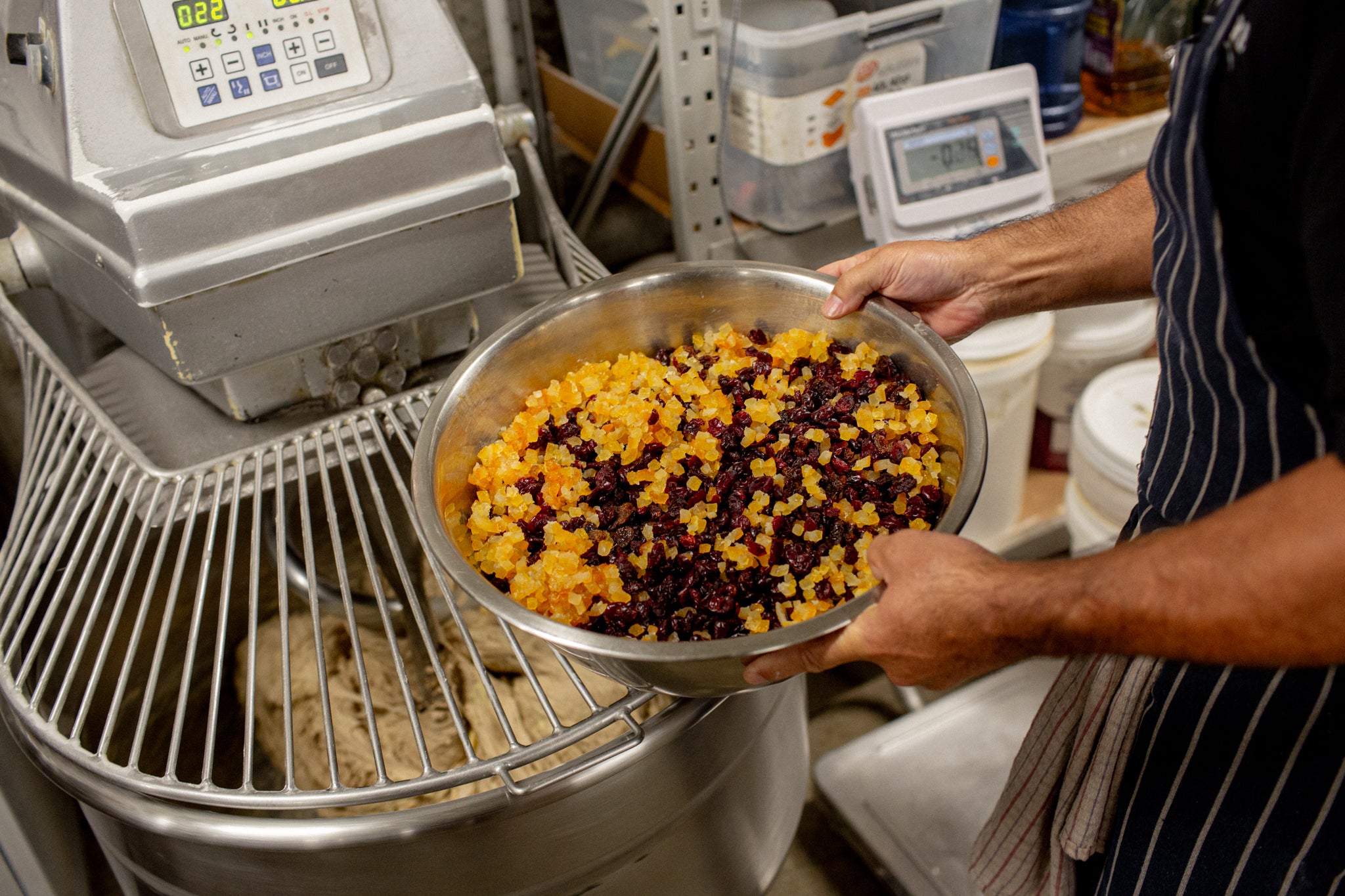 Adding dried fruit to Volare Hot Cross Bun dough