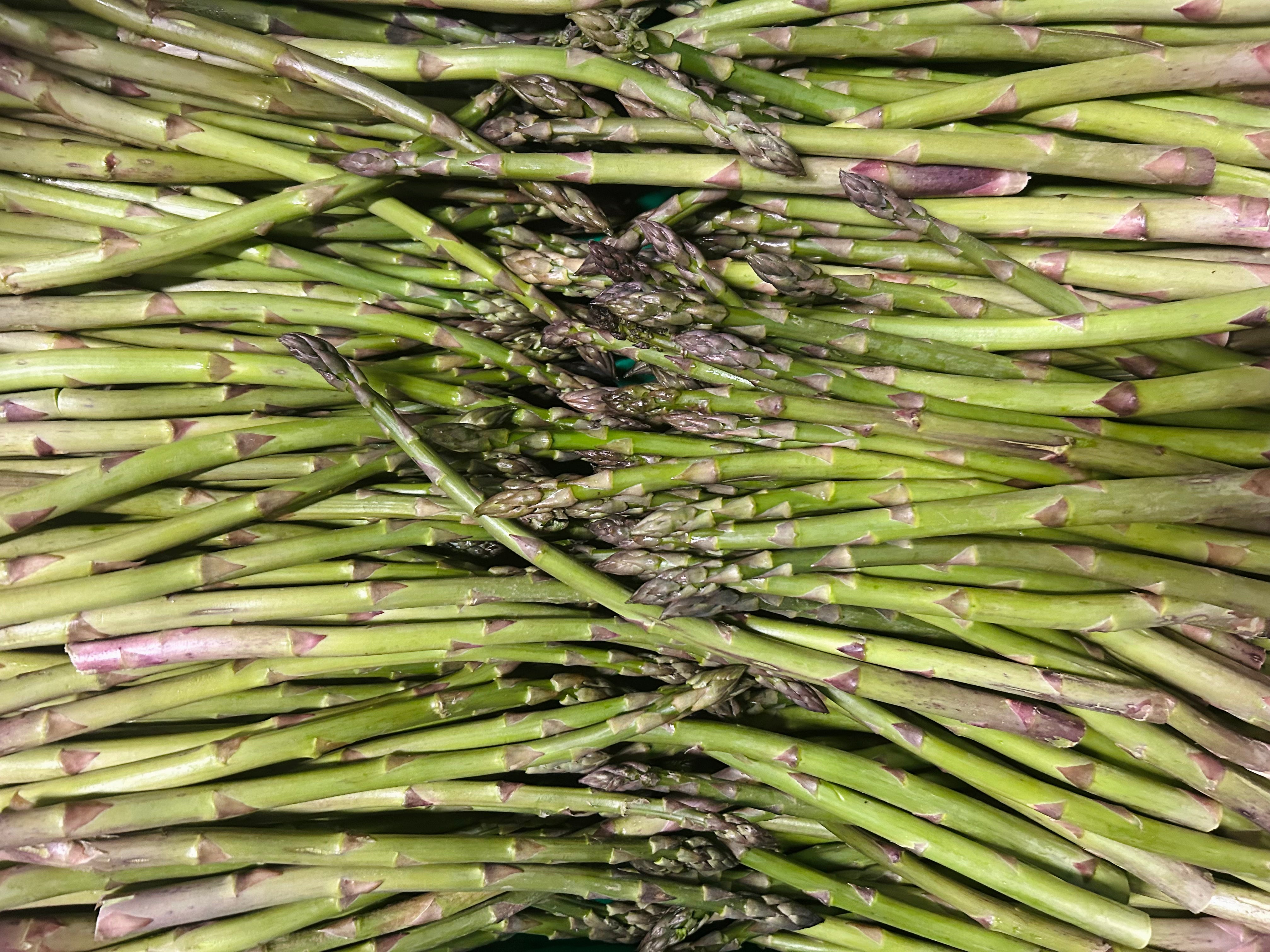 Close-up of Greenfern asparagus stalks