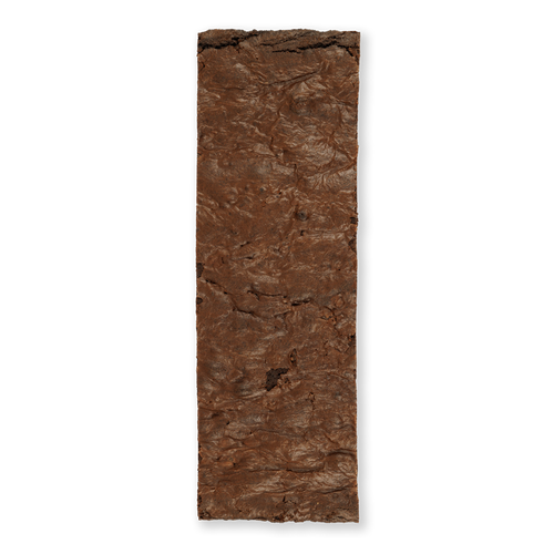 Chocolate Brownie Slab