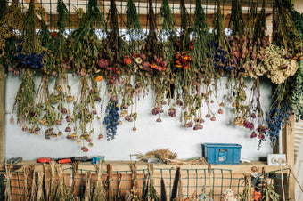 Project Local: Drapers Field Flowers
