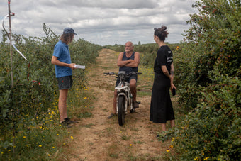 Project Local: Monavale Organic Blueberries